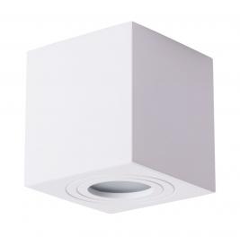 Накладной светильник Arte Lamp Galopin   A1461PL-1WH