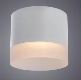 Накладной светильник Arte Lamp Castor   A5554PL-1WH