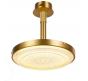 Потолочный светильник Delight Collection MX18006004-1A gold